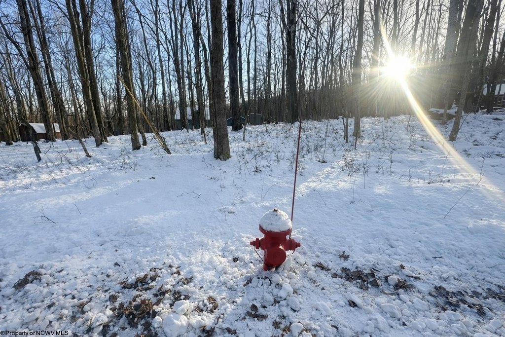 Picture 6