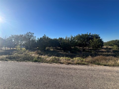 Treed Residential Lot in Brock ISD