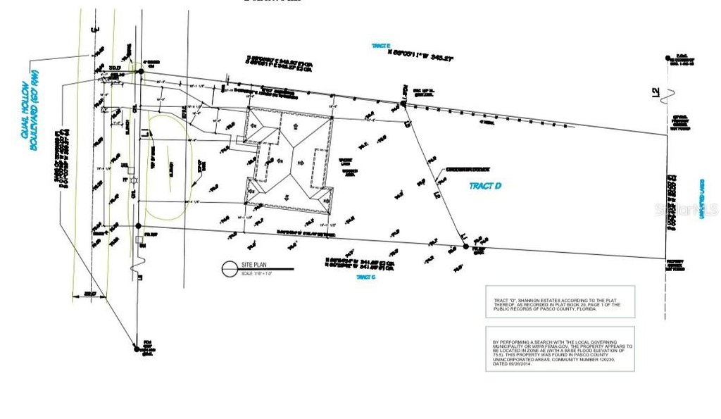 Picture 7