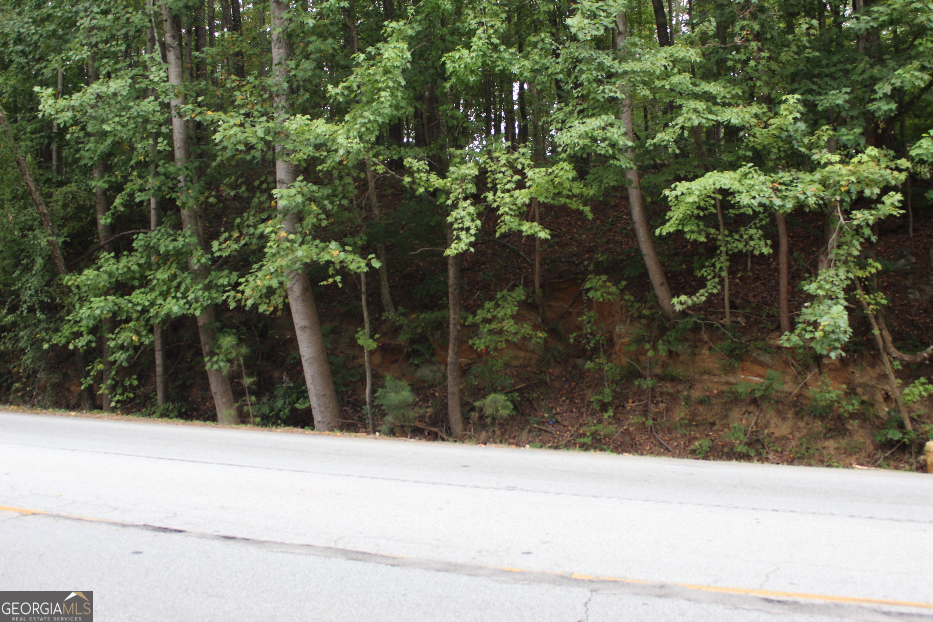 Land Near Atlanta and Airport