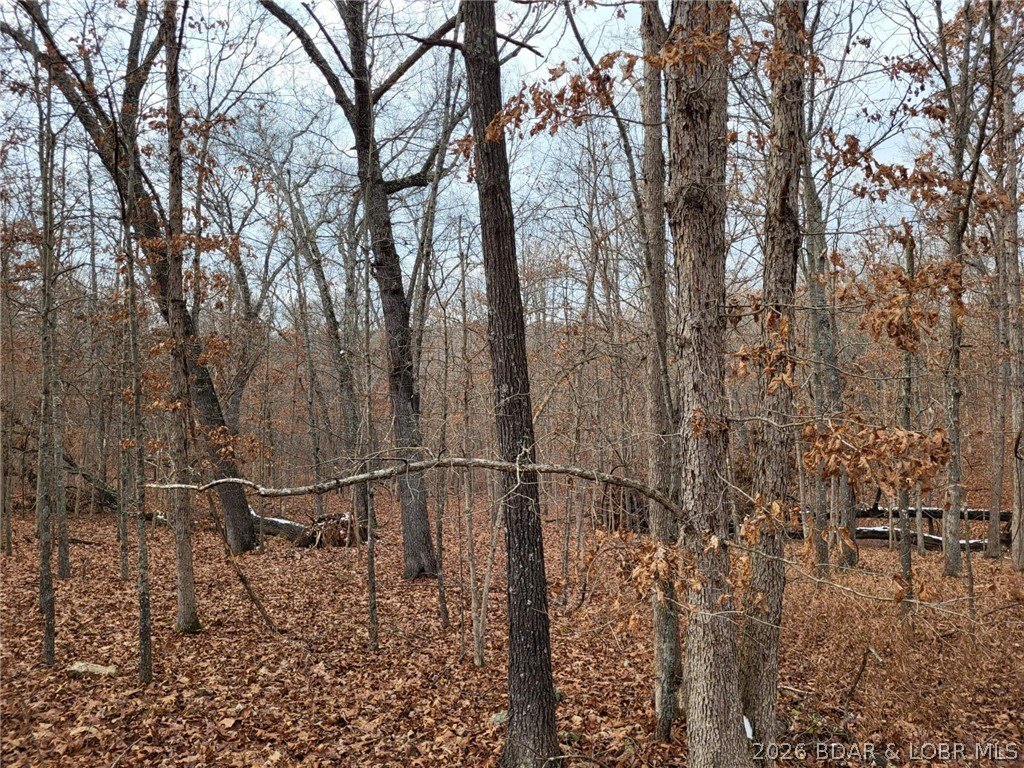 Picture 2