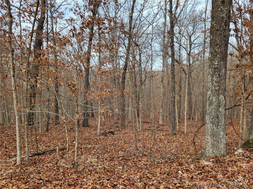 Picture 10