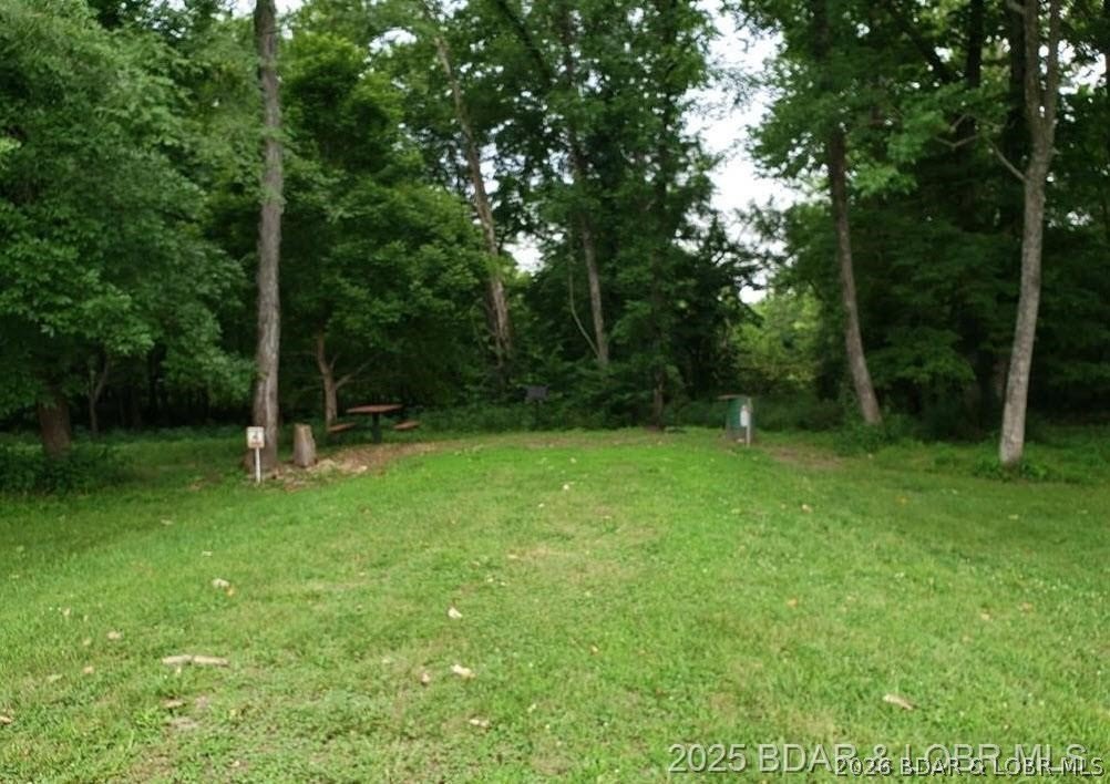 Picture 12
