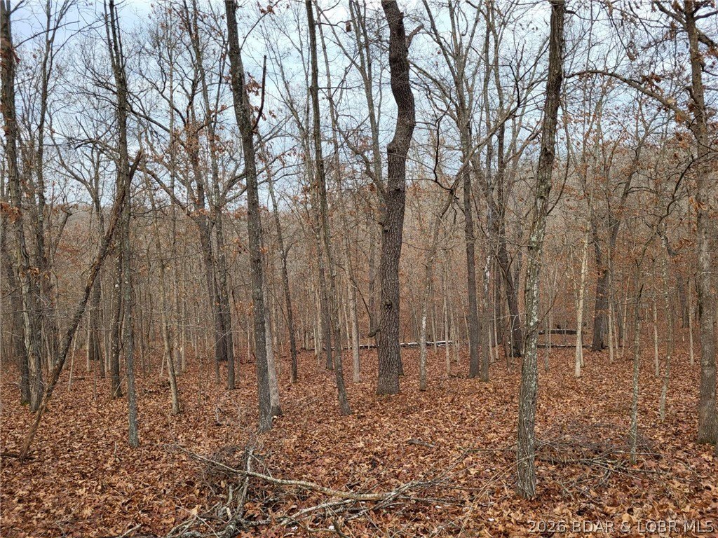 Picture 8