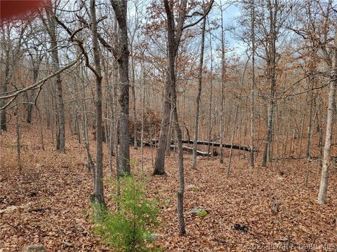 LAND - Edwards, MO