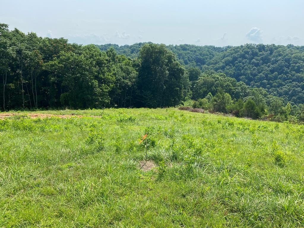Land Near Center Hill Lake