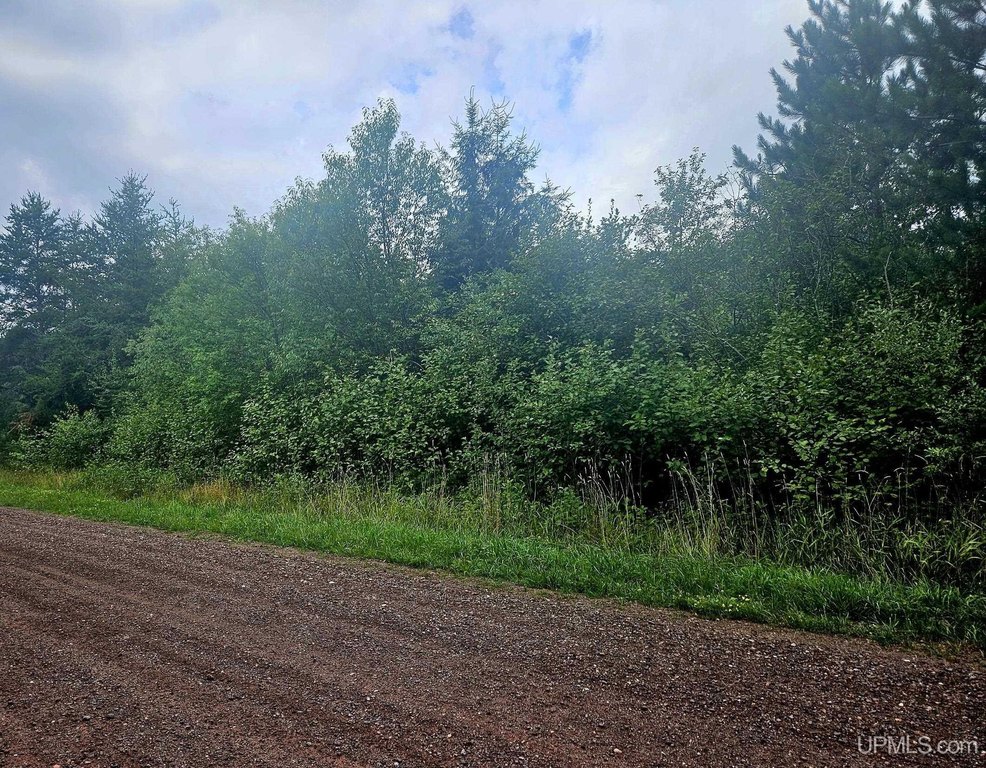Picture 6