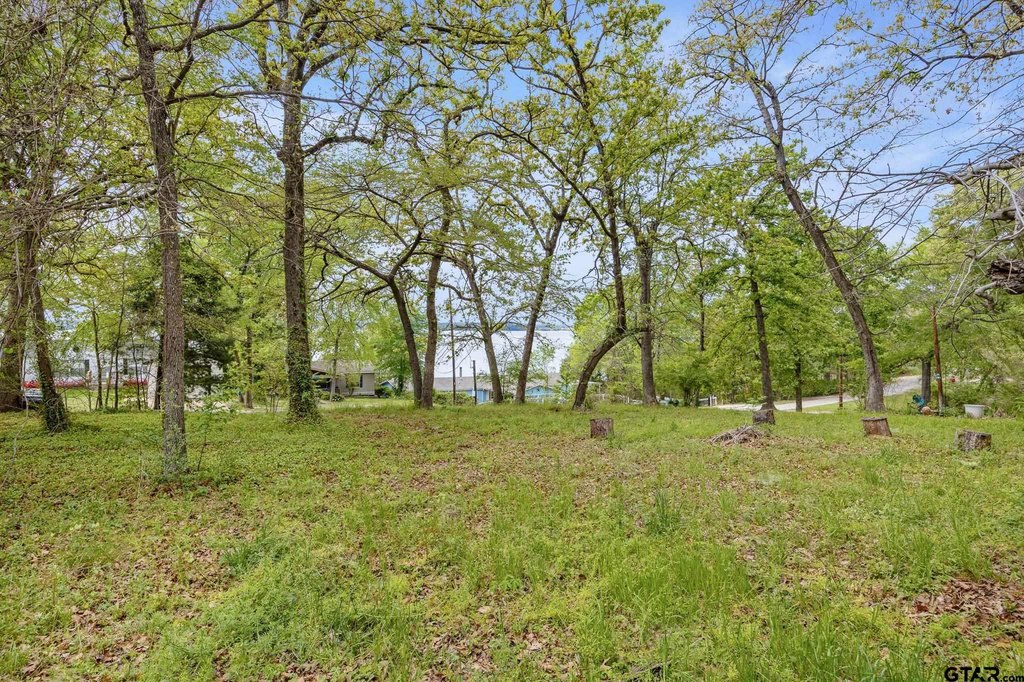 Picture 8