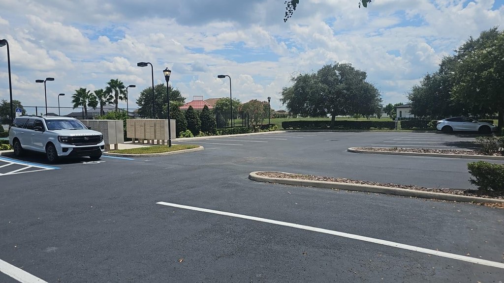 Picture 28