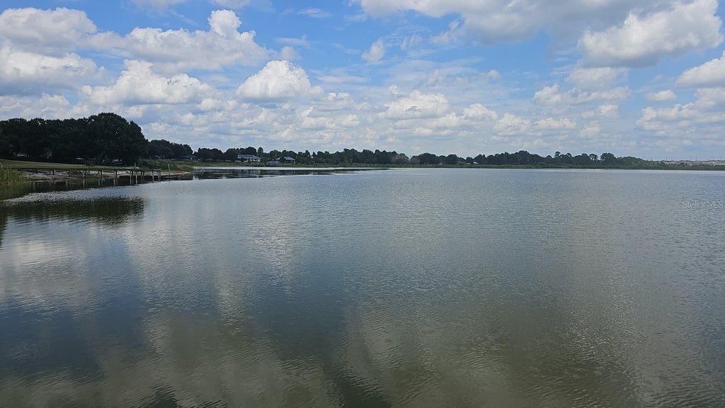 Picture 19