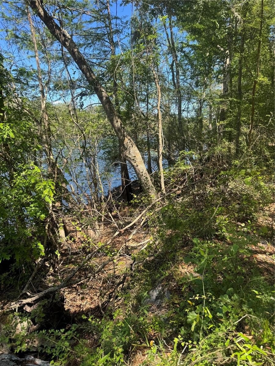 Suwannee Riverfront Land Opportunity
