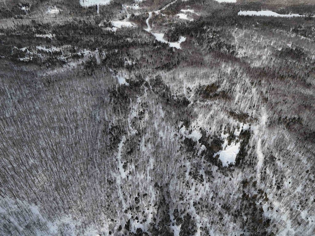 Picture 24
