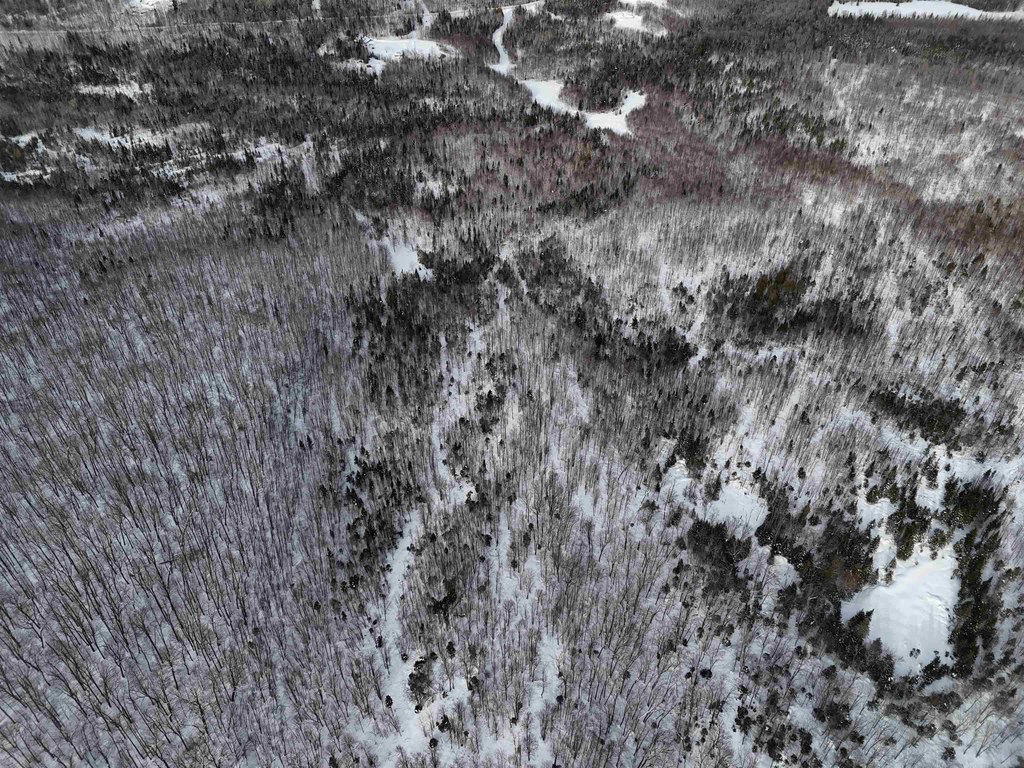 Picture 26