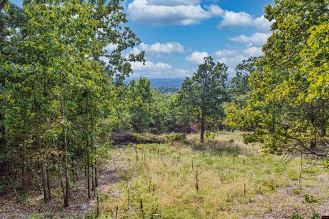 LAND, Mountain Home, AR