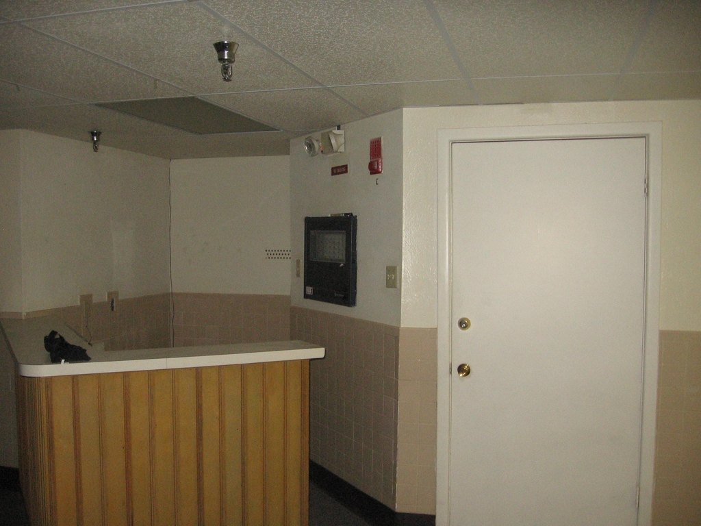 Picture 8