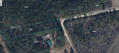LAND - Olanta, SC