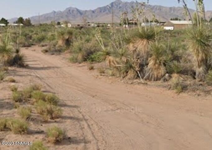 Land in Chaparral, New Mexico