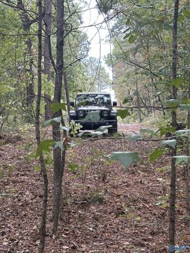 Wooded Land Overlooking Coosa River