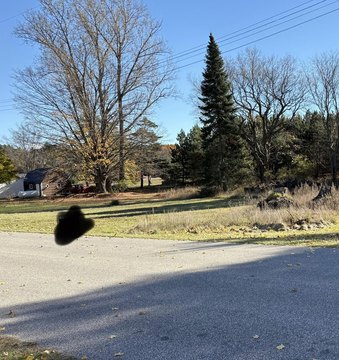 Free Soil Land Opportunity