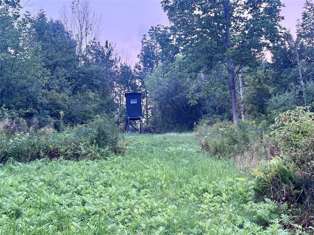 Picture 10