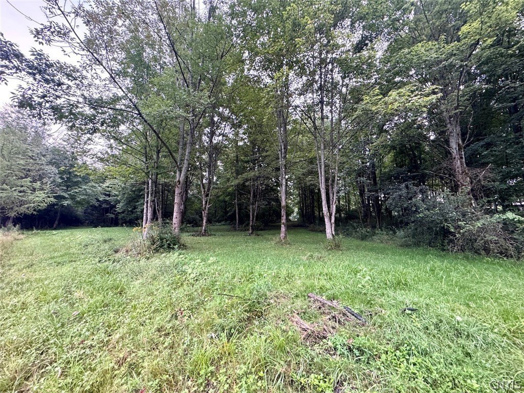 Picture 19