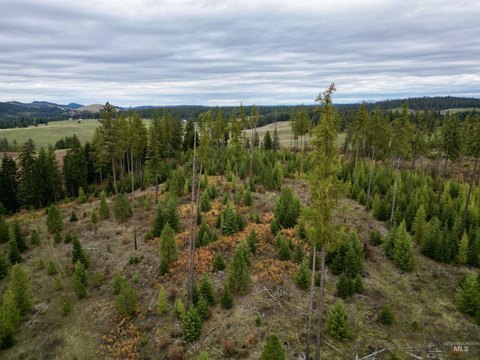 Kamiah, ID 10-Acre Land