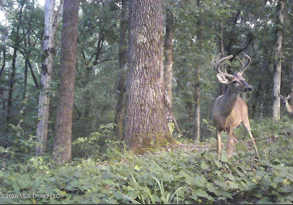Picture 11