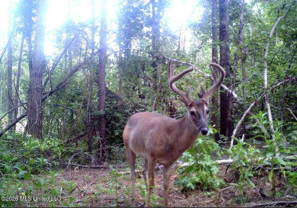Picture 3
