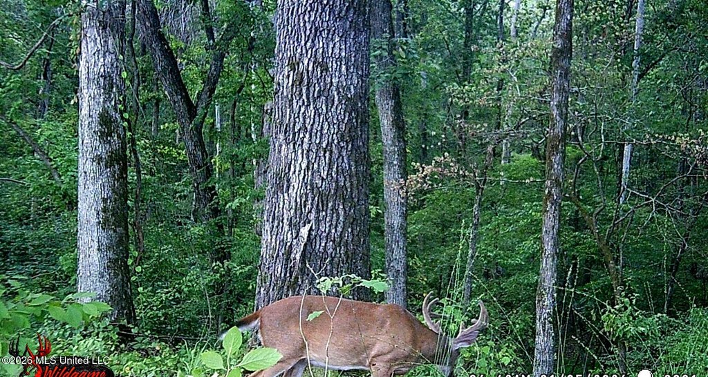 Picture 37