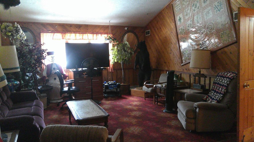 Picture 7