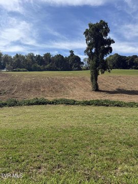 Land, Mosheim, TN