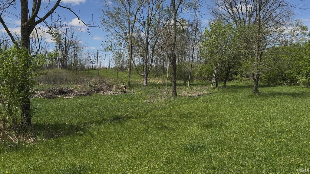 Picture 8