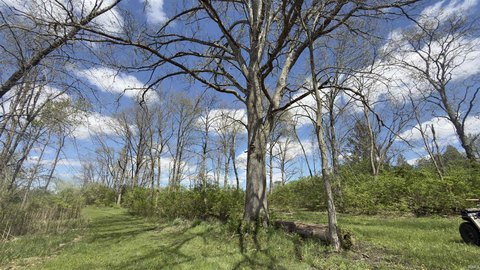 8.54 Acres of Natural Beauty