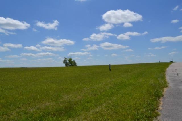 Picture 8