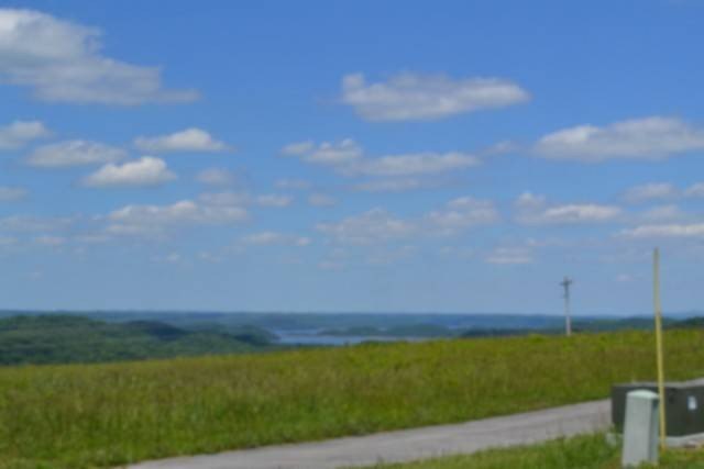 Picture 21