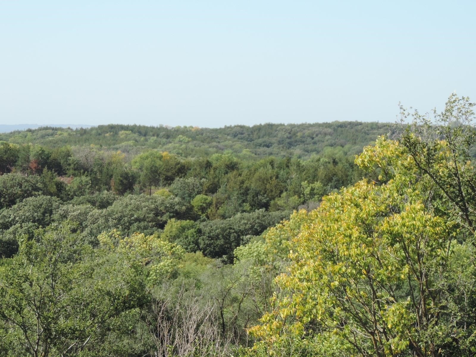 Wooded Lot Near Lewis & Clark