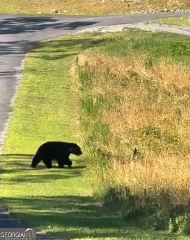 Picture 12