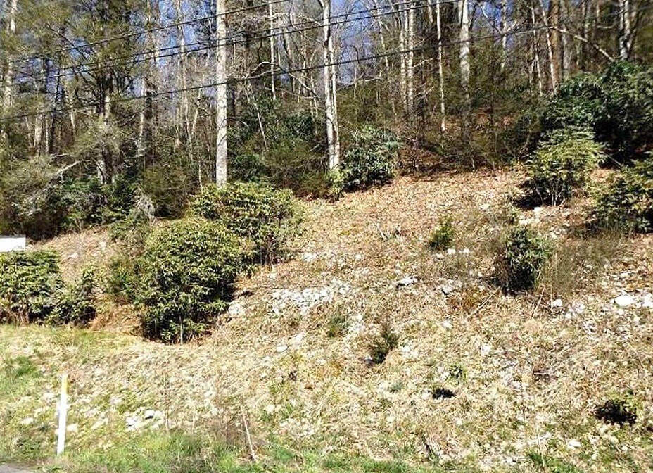 288 Acres in Butler, TN