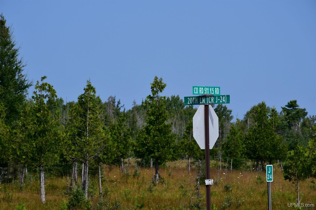 Picture 28