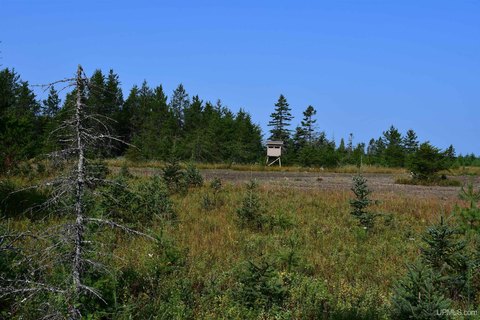 VACANT LAND, Rapid River, MI