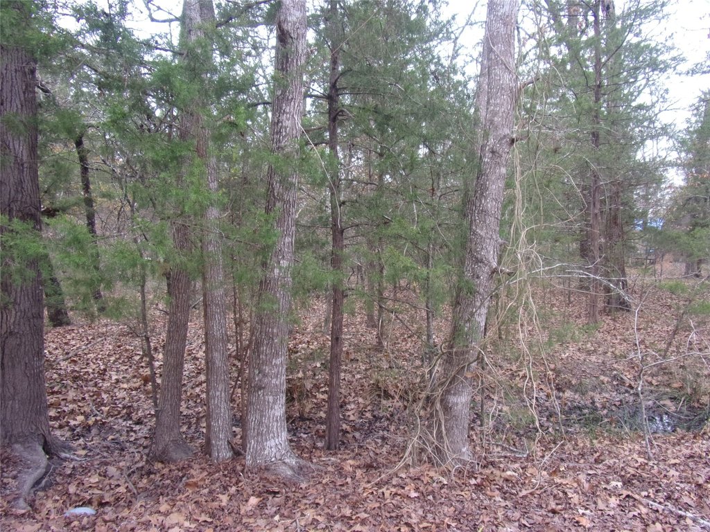 Picture 3