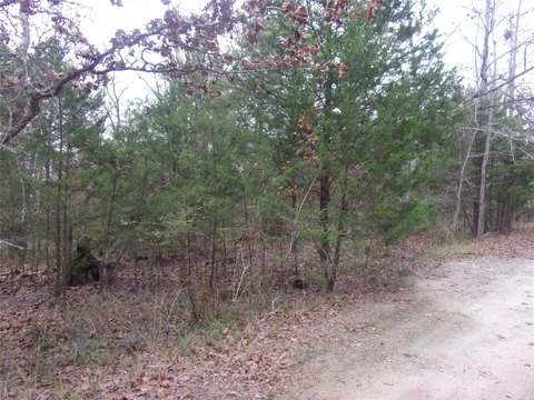 Wooded Lot in Gated Community