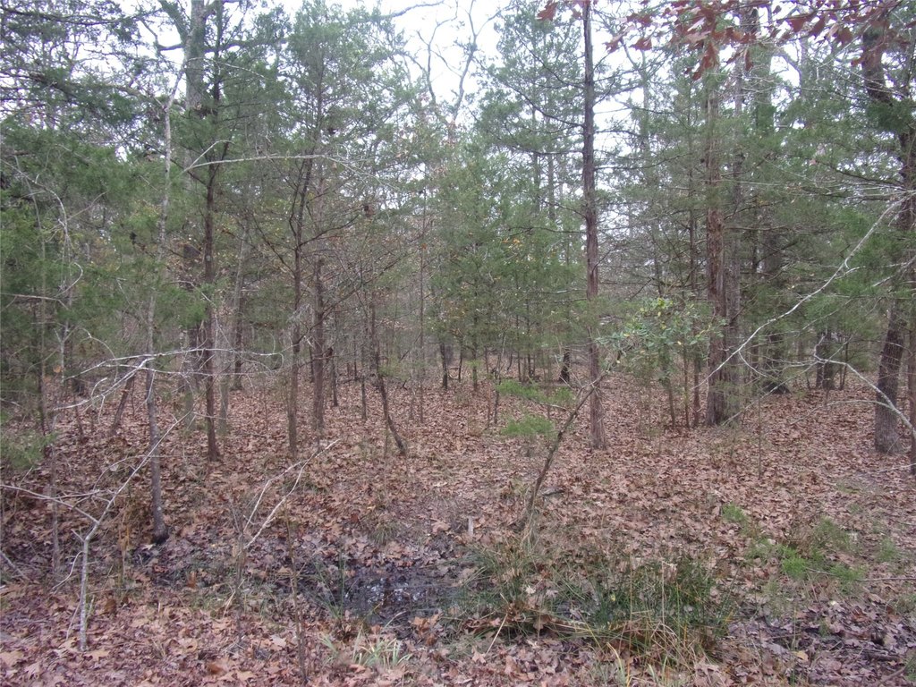 Picture 4