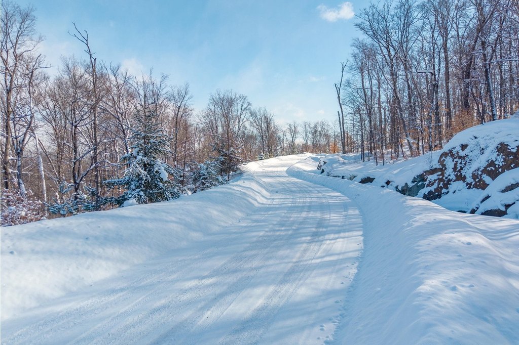 Picture 16