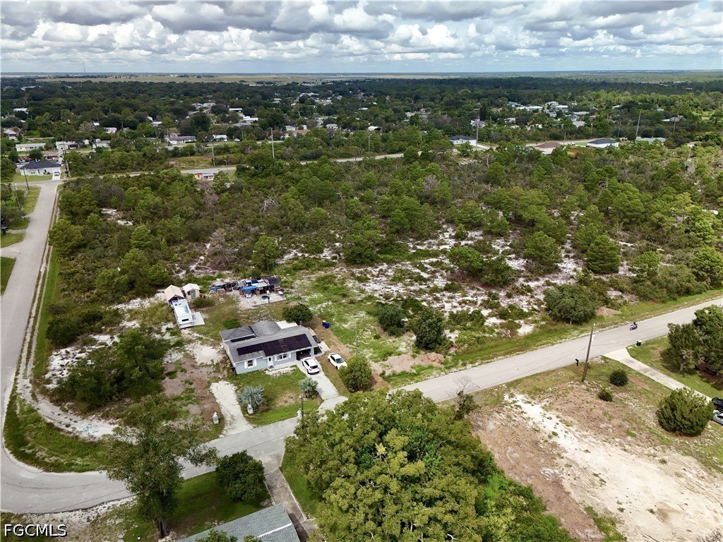 Picture 20
