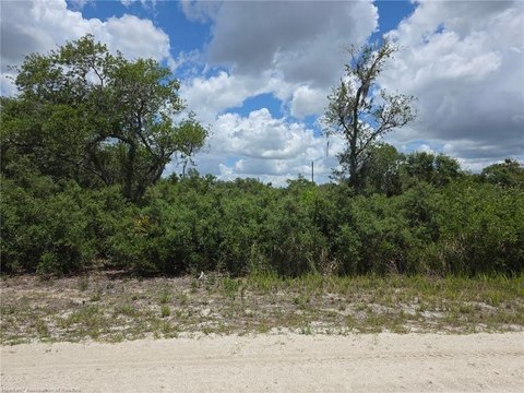 LAND - Avon Park, FL
