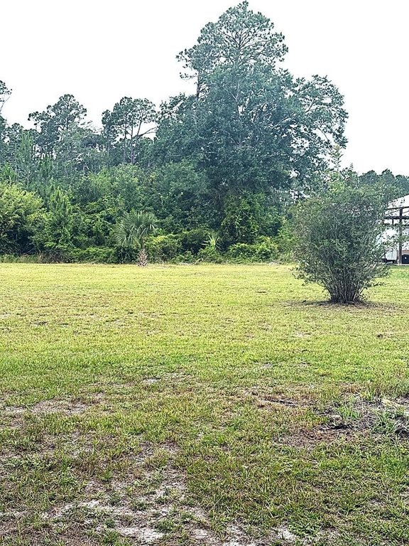 Picture 16