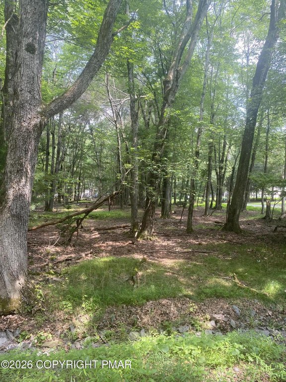 Picture 3