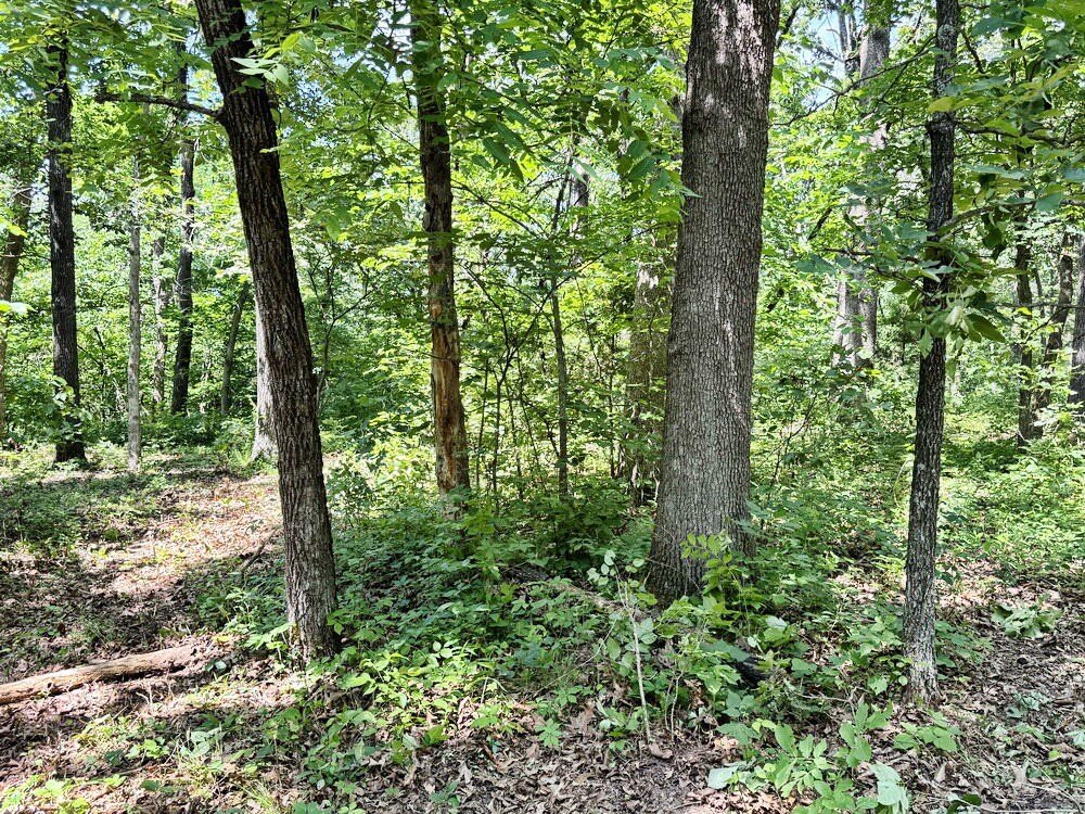 Picture 14