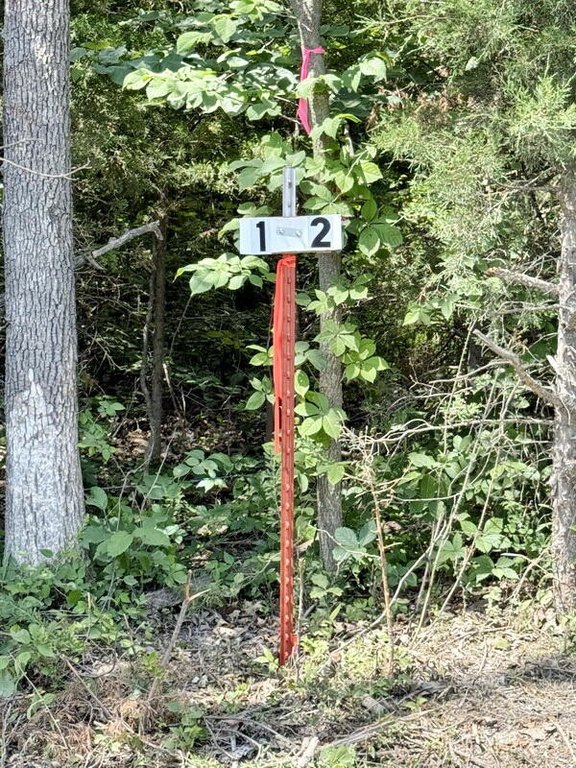 Picture 22
